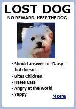 You might not want Daisy, but if your pet is missing, alert people in your area on Facebook and notify the Rescue Squad For Free.